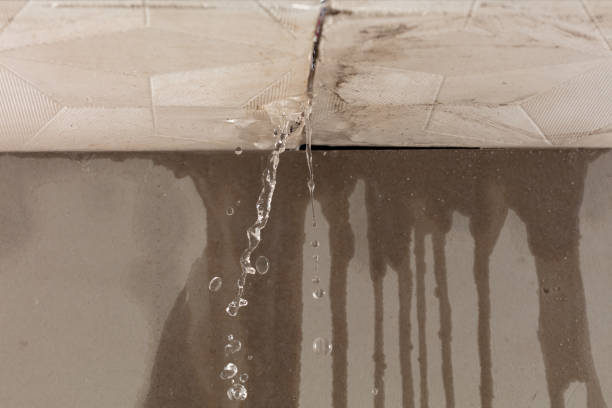 Professional Water Extraction technician working in Valley, NE